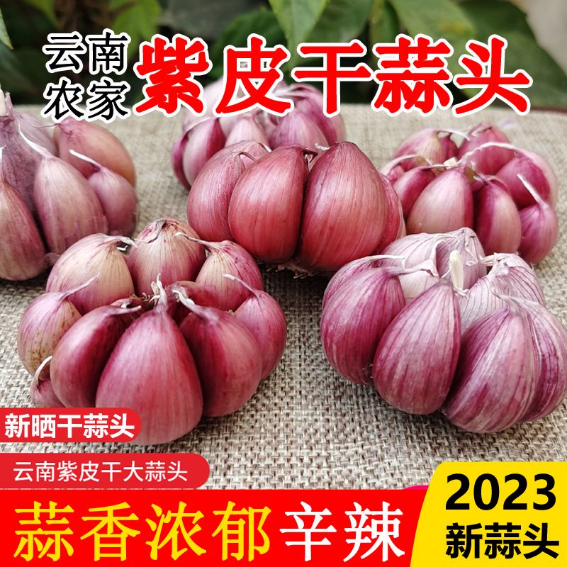 2023年云南紫皮大蒜头干蒜新鲜红皮大蒜多瓣蒜香蒜大蒜干蒜头