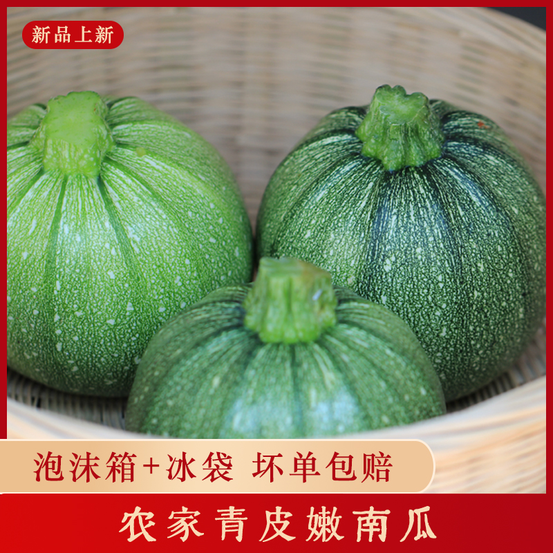 湘西小南瓜新鲜嫩南瓜绿皮小南瓜农家种鲜嫩南瓜小吊瓜小圆瓜嫩瓜