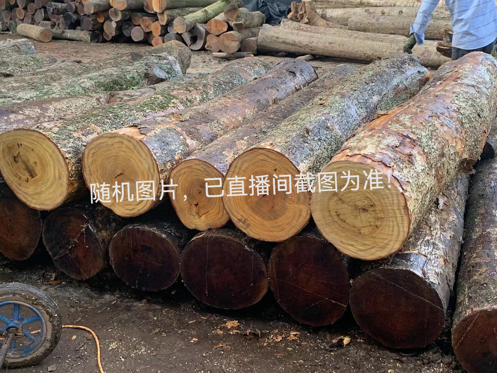 金丝楠木，新疆西藏内蒙海南宁夏黑吉辽不包邮！