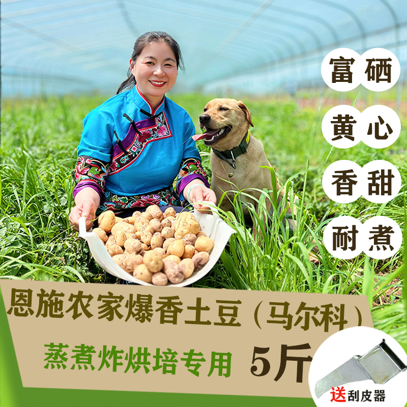 恩施富硒小土豆5斤 现挖马尔科新鲜黄心土豆蔬菜整箱马铃薯洋芋