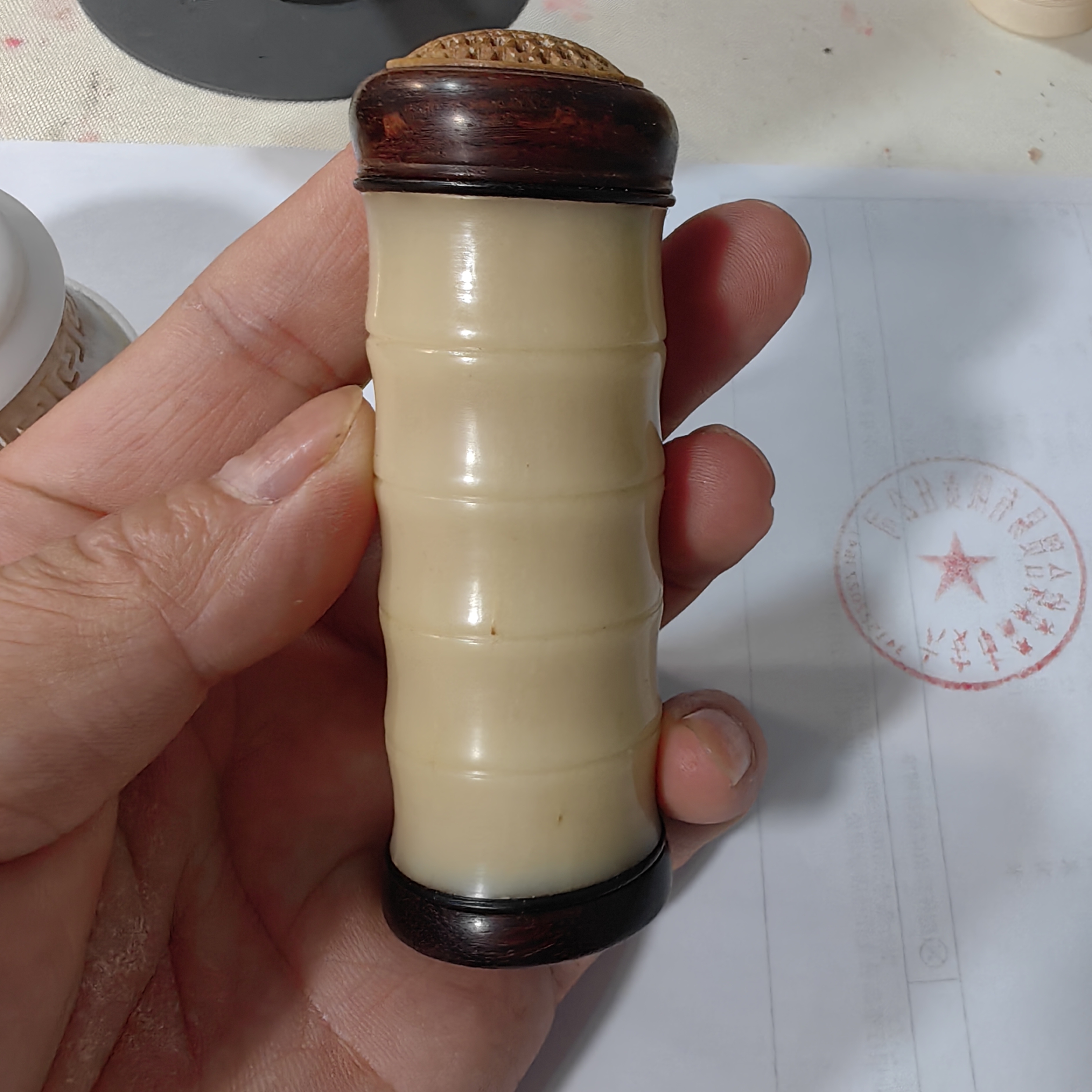 驼骨竹蛉筒 黄蛉筒