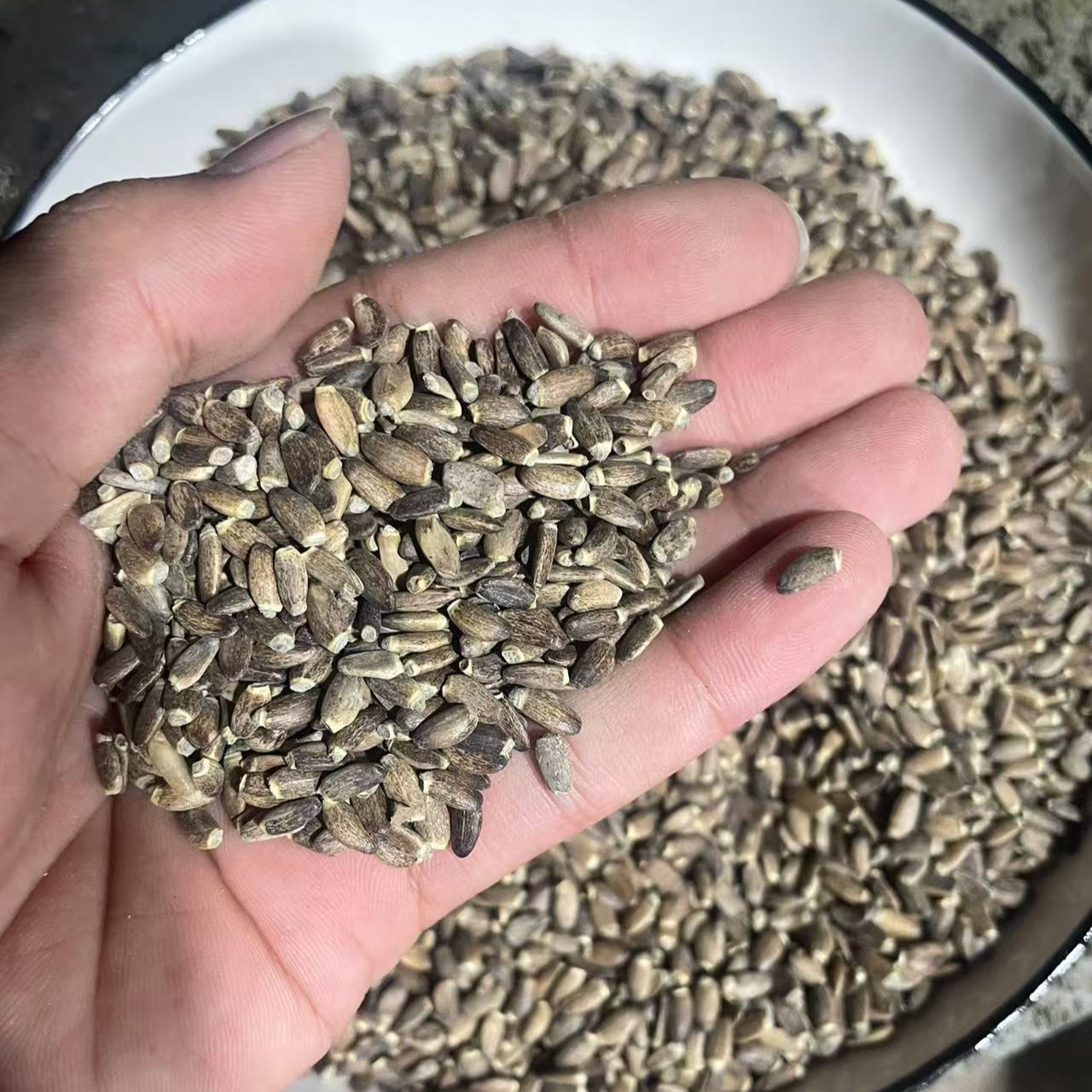 1【水-飞-蓟】净含量250g-1000g【小八现收】