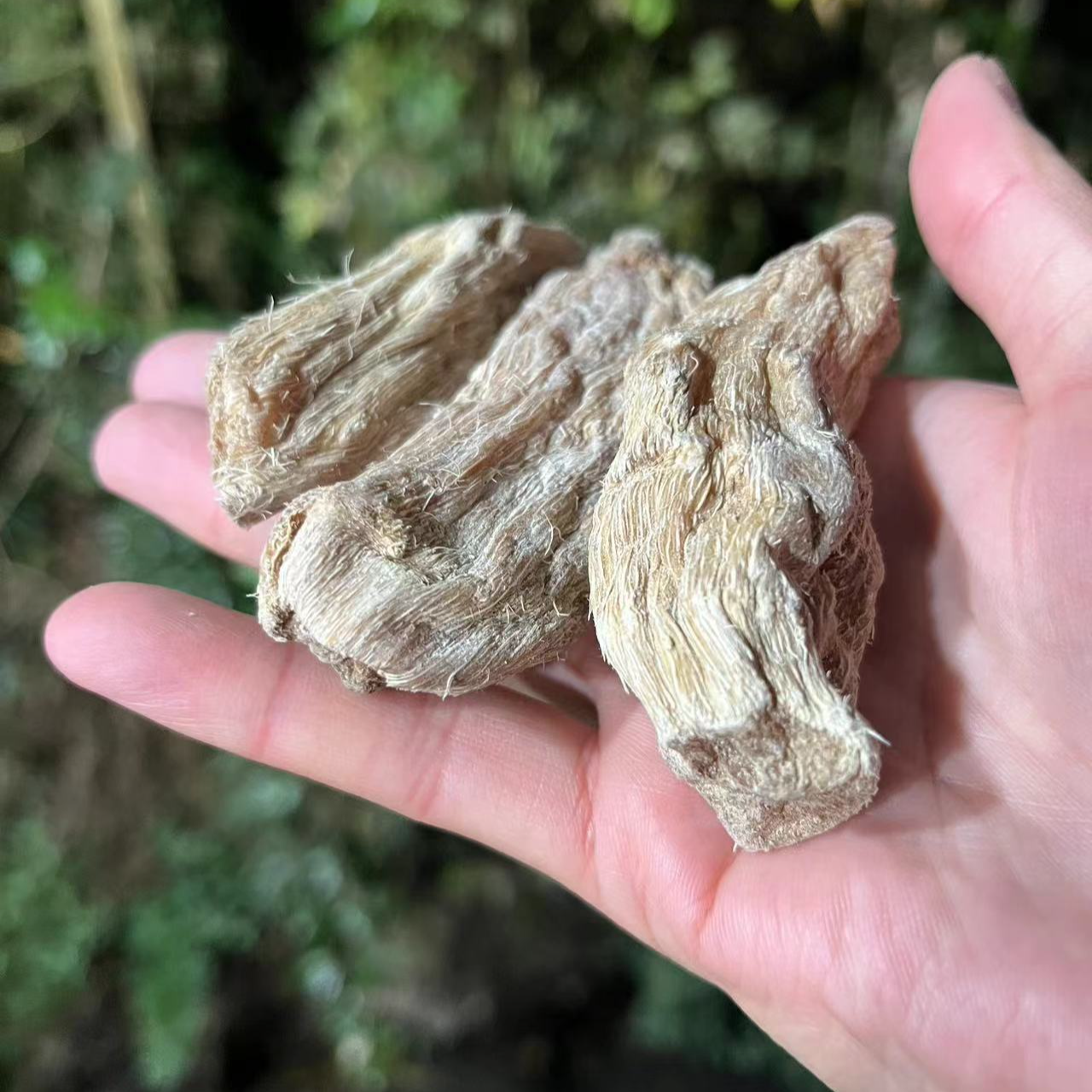 1【土-天-麻】净含量：250-1000g【小八现收】