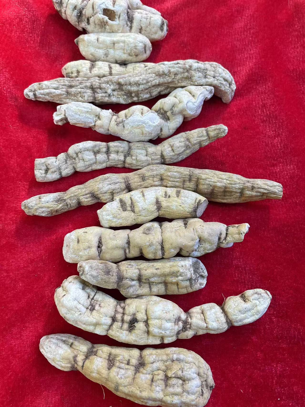 1【龙-鞭-参】净含量：250-500g【大鹏现收】