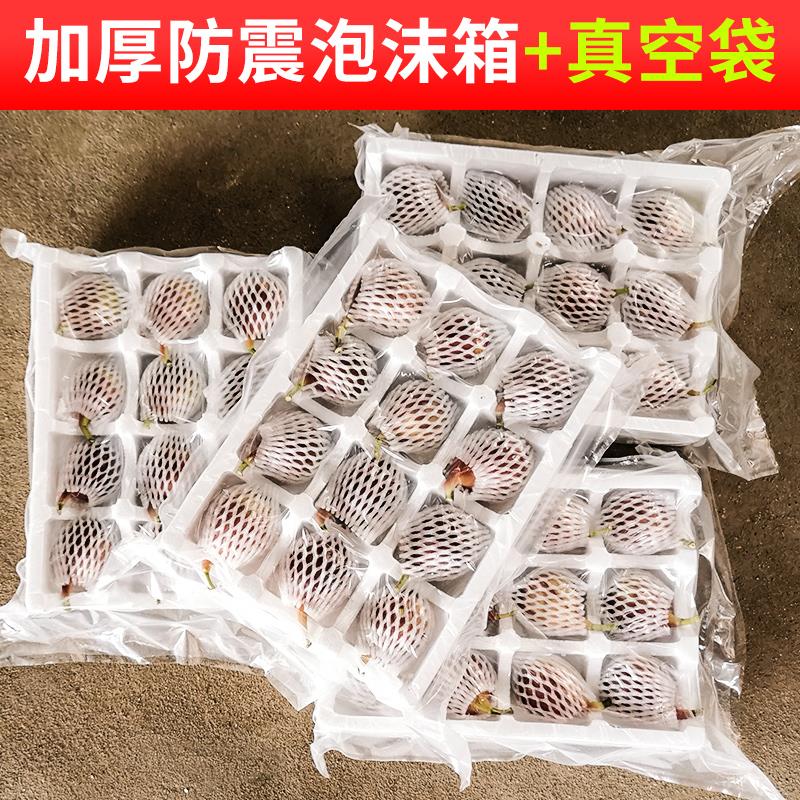 现货无花果大果新鲜现摘鲜果本地水果非云南青皮紫皮笋0g