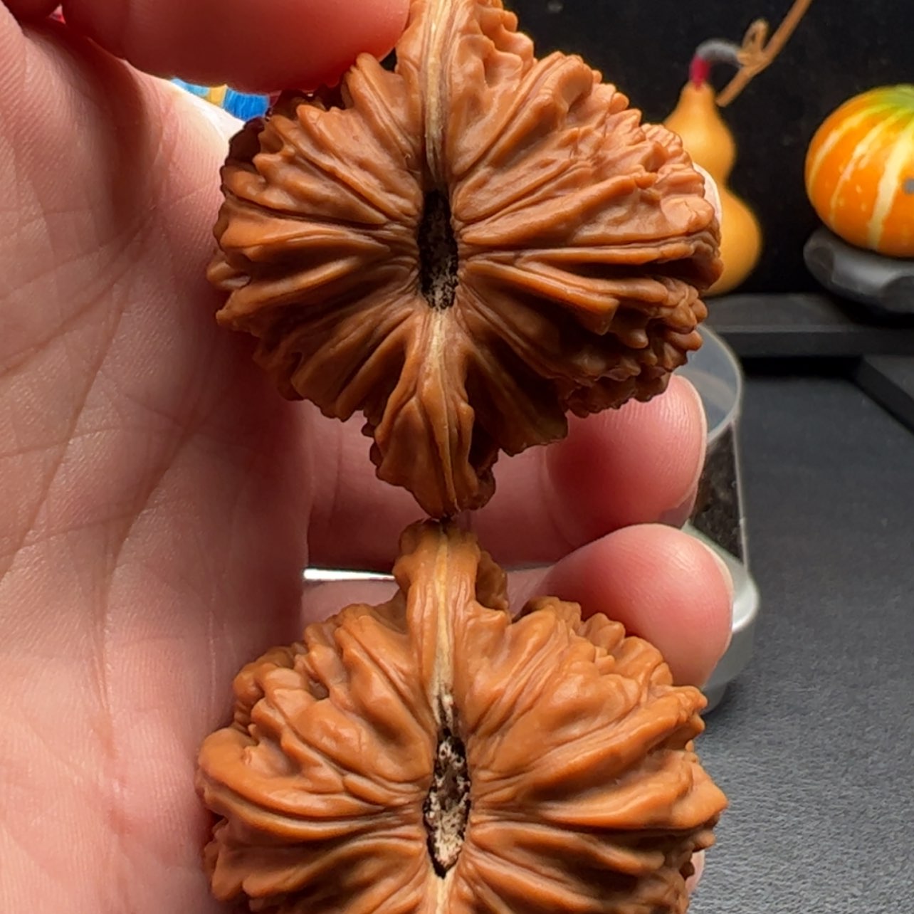 【闪购商品】文玩核桃把件43+无药楼