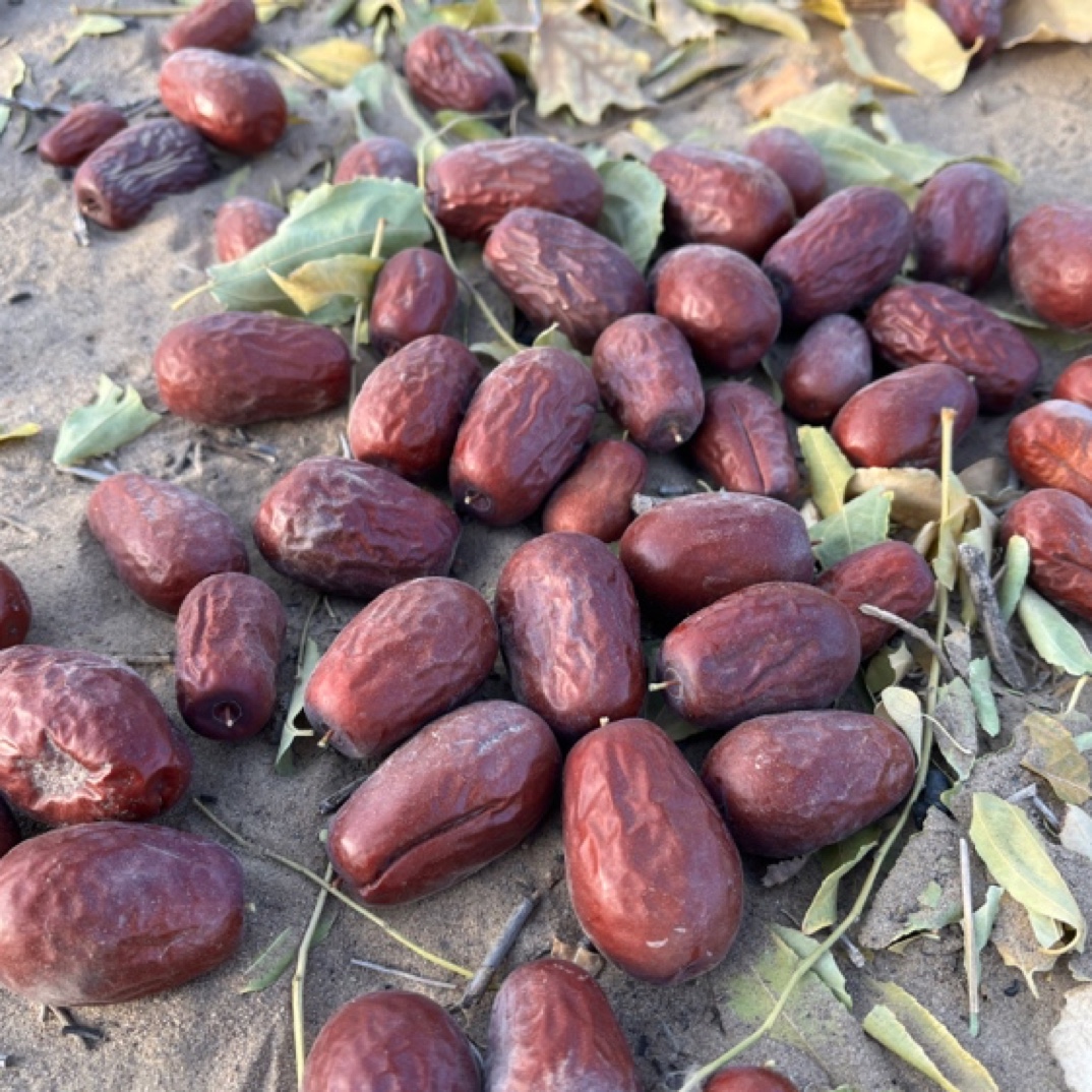 和田大枣3-4公分2斤5斤原产地直发原生态吊干灰枣不加工（包邮）