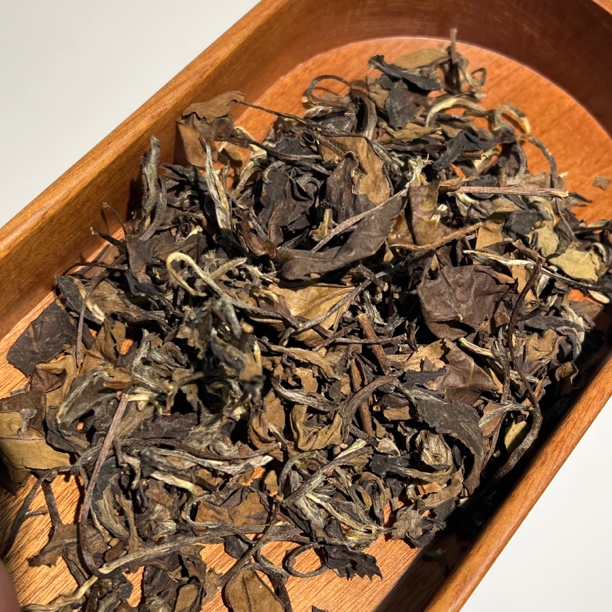 2013年贡眉老白茶药香250g装