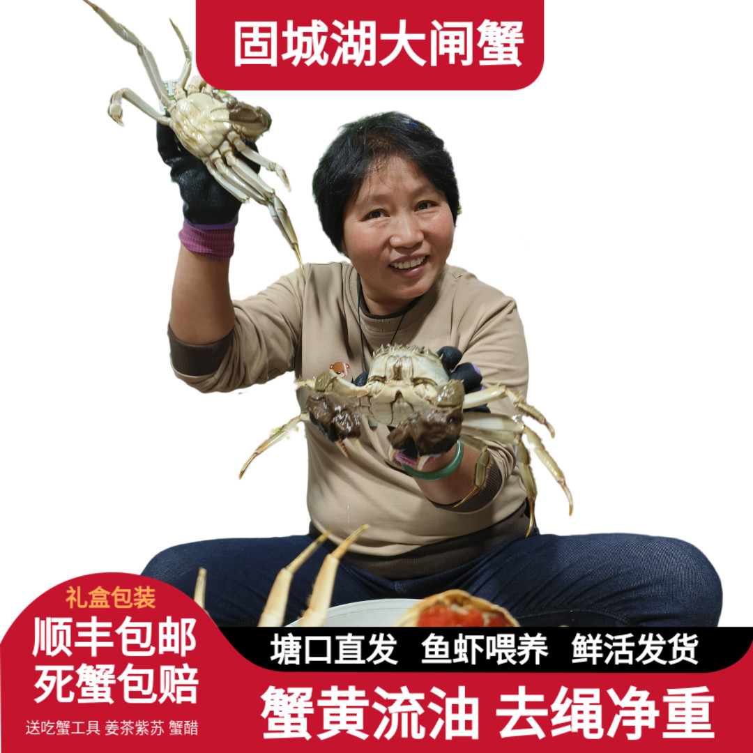 活蟹顺丰现货固城湖大闸蟹8只装母蟹3.0-3.3两公蟹4-4.3精品礼盒
