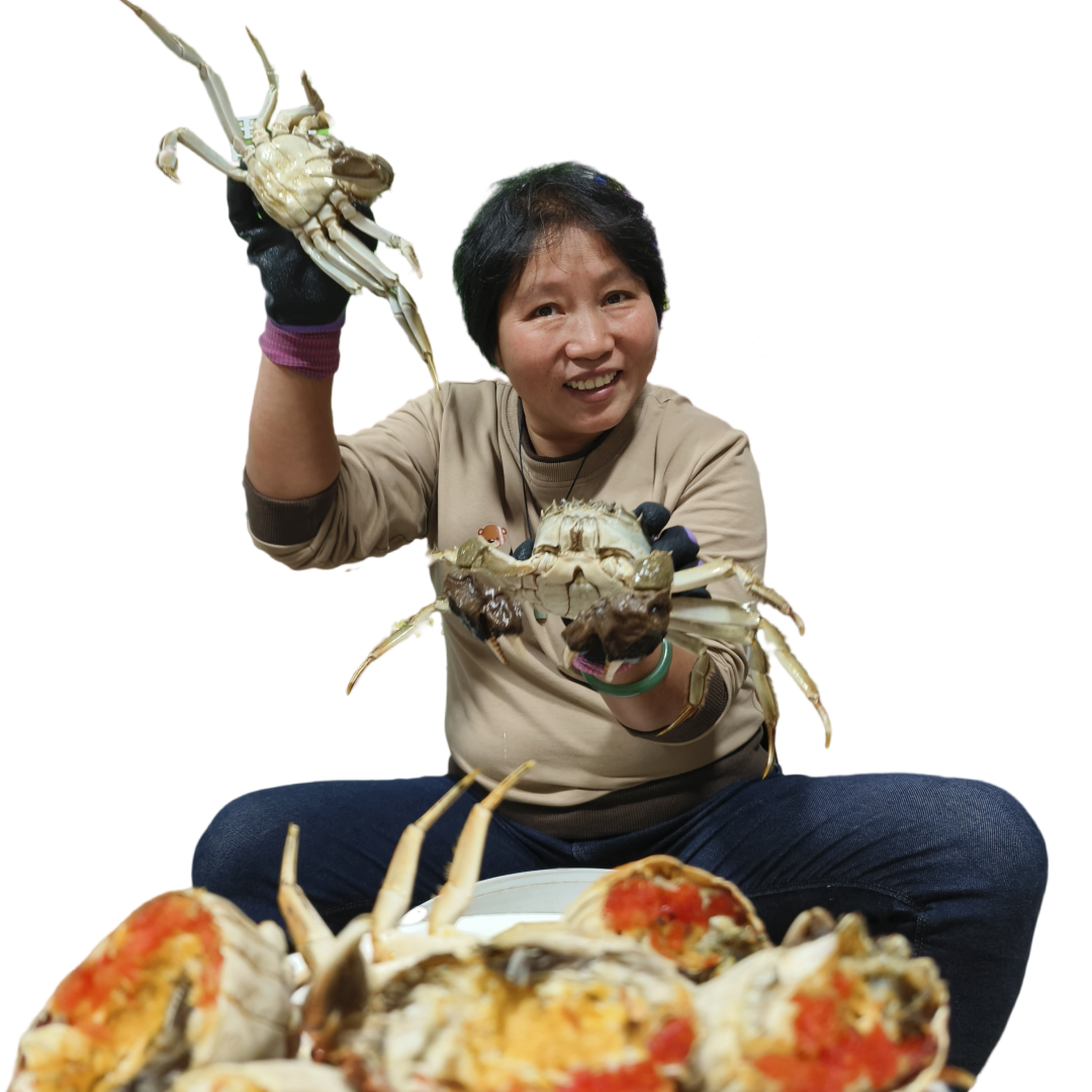 活蟹【自家吃蟹款】8只固城湖大闸蟹全母3-3.3两去绳净重顺丰现货