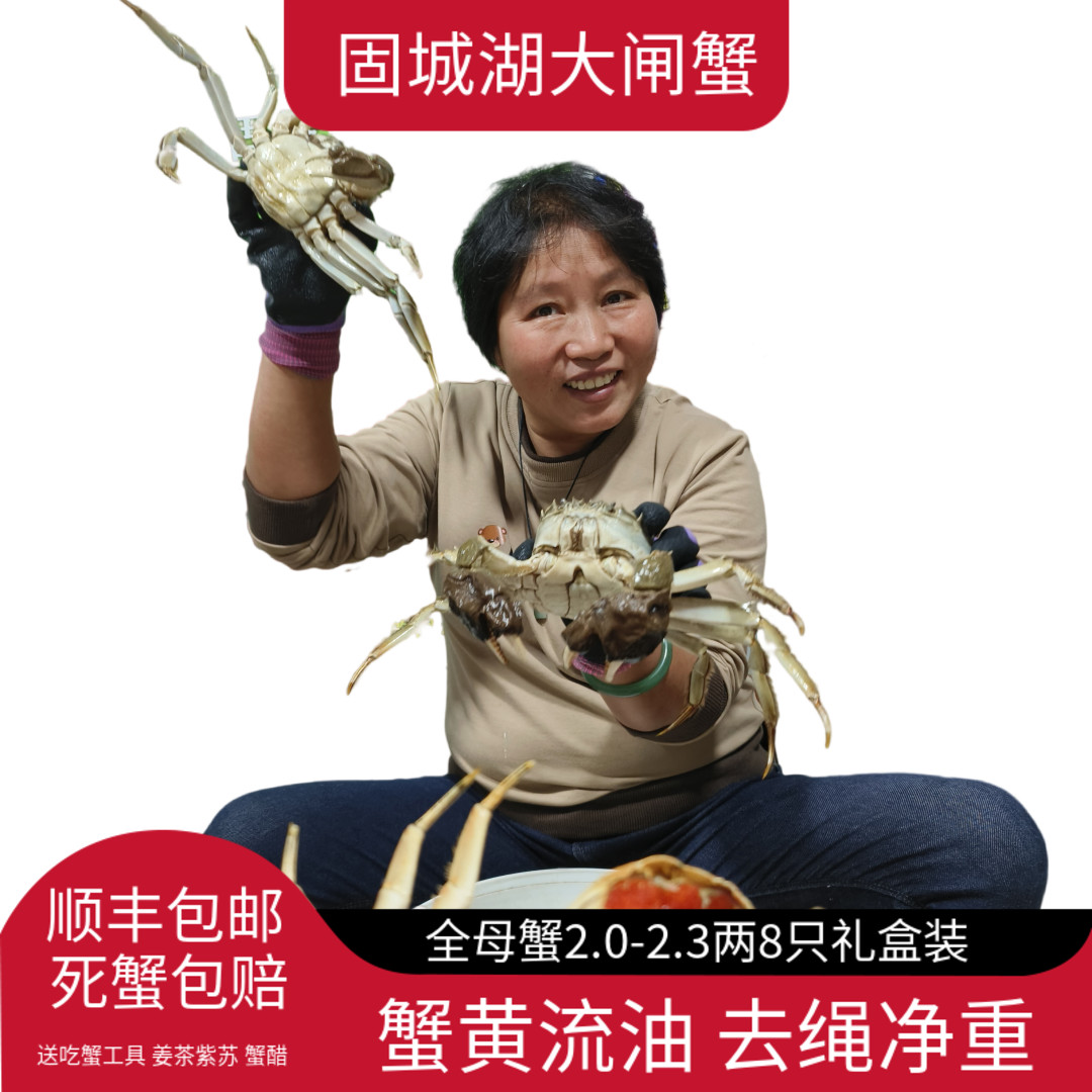 活蟹现货顺丰】固城湖大闸蟹8只净重2.0-2.3两全母蟹礼盒鲜活螃蟹