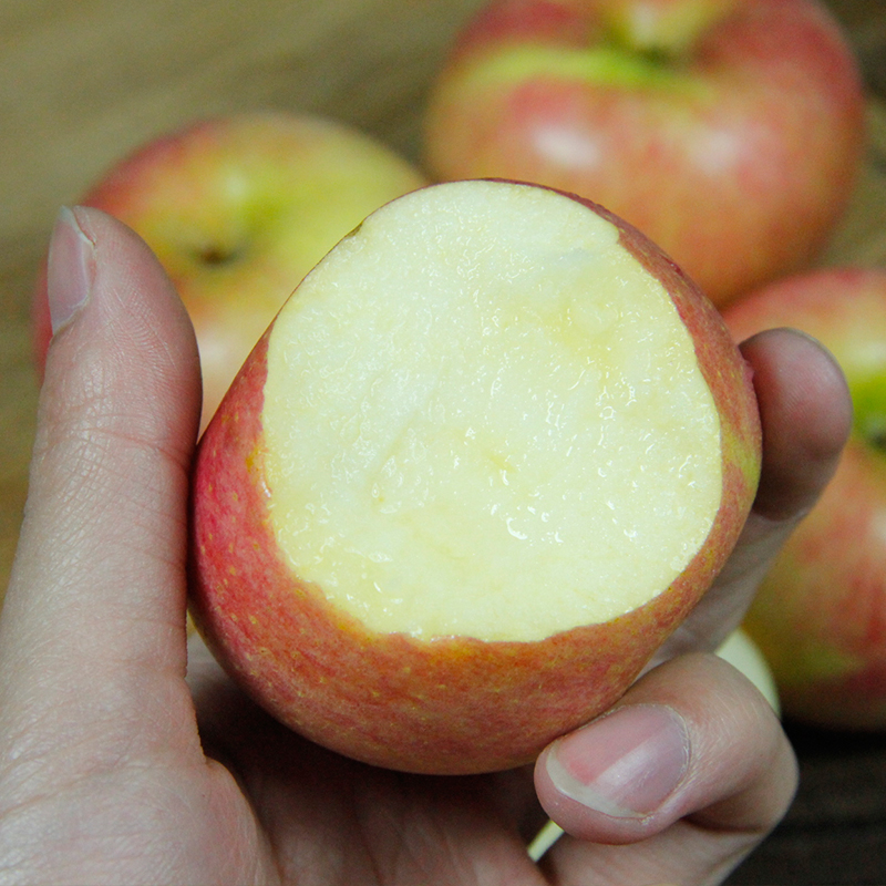 辽宁产区庄河步云山老树国光苹果果光苹果酸甜口5斤包邮