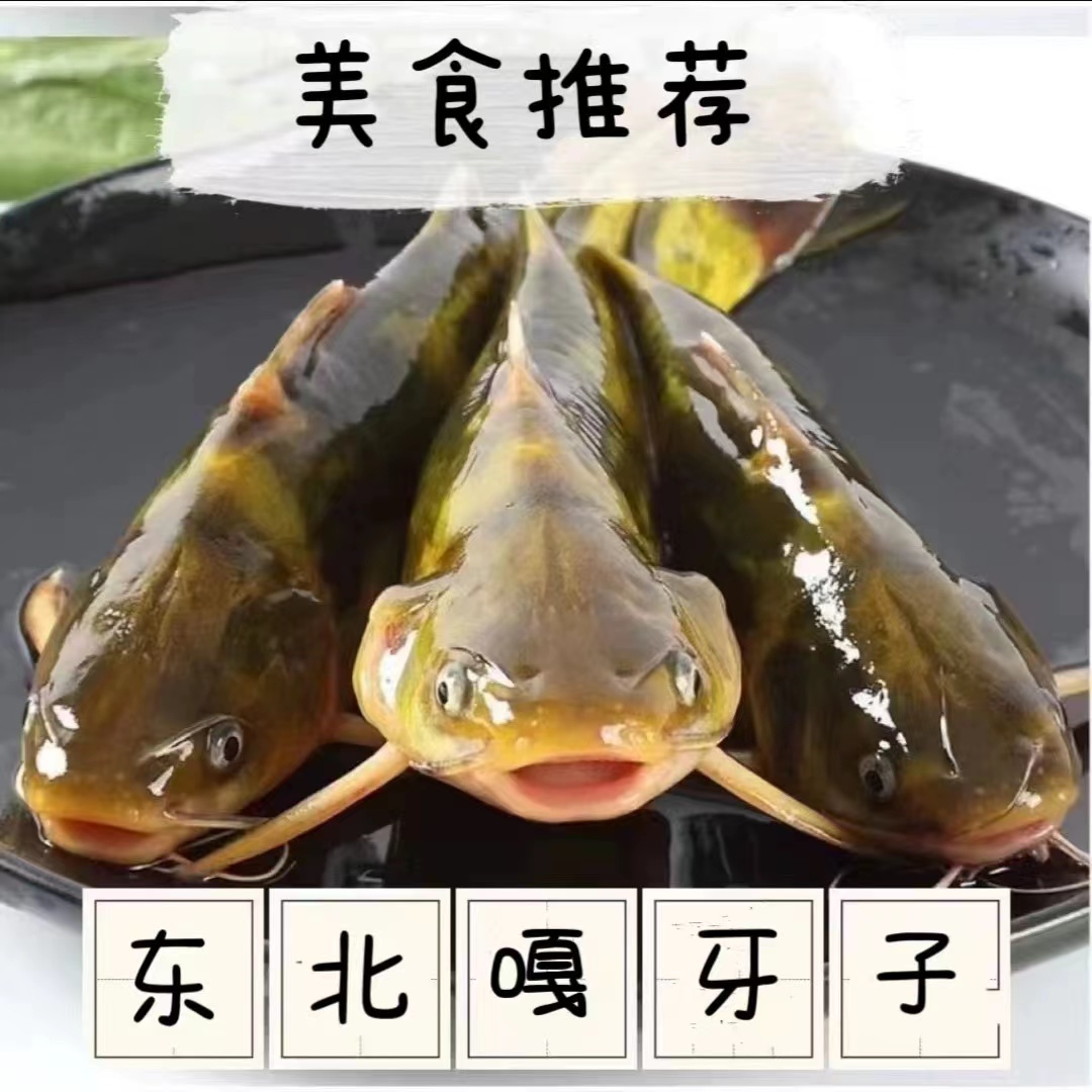 东北特产嘎牙子鱼新鲜发货开河嘎牙子鱼500克包邮顺丰