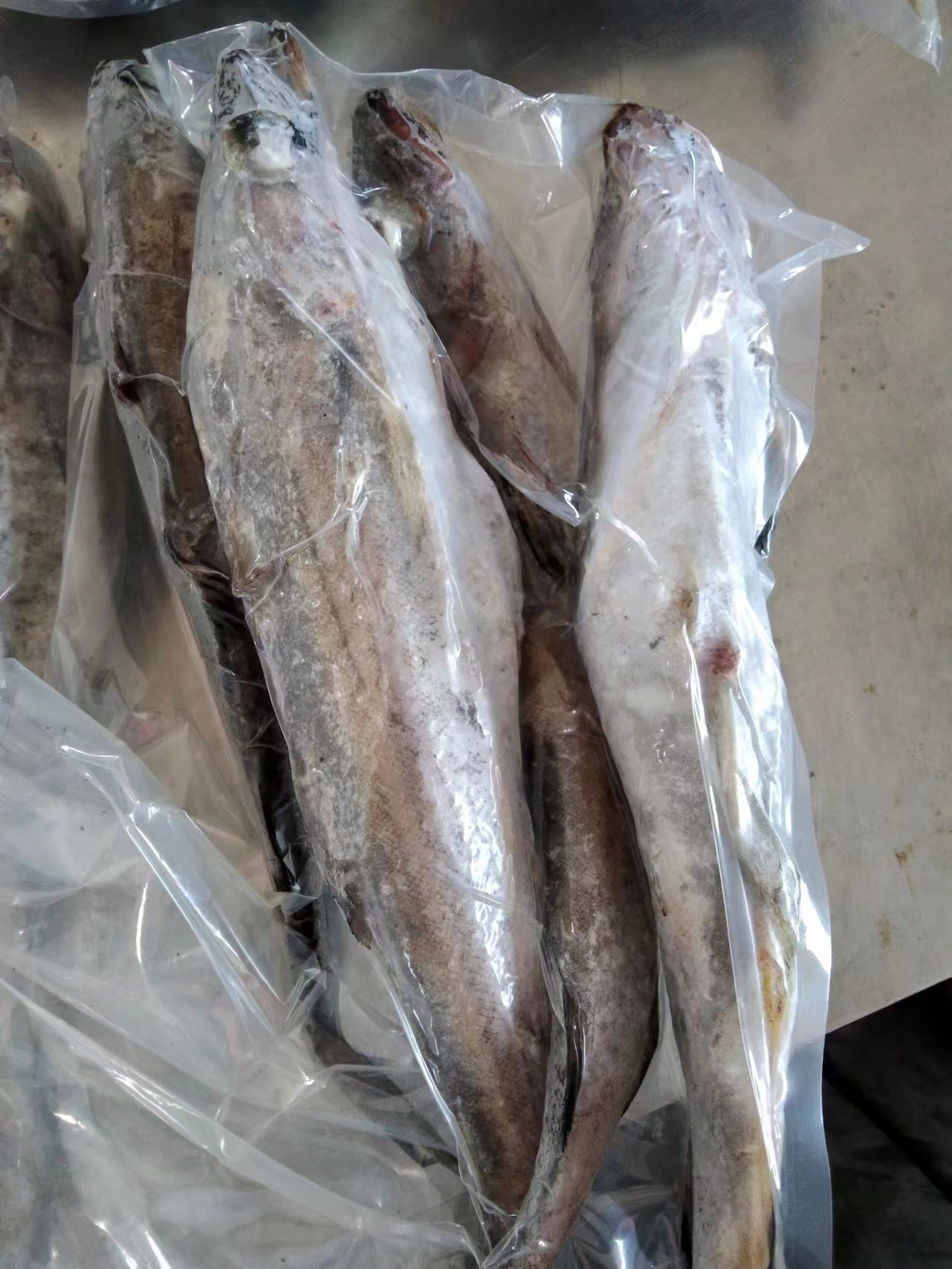 东北速冻明太鱼五斤包邮顺丰