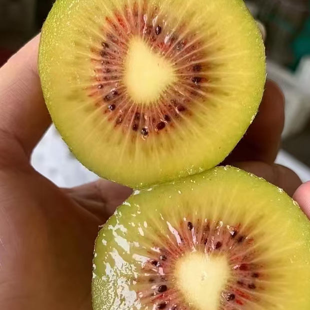 四川德阳什邡红心猕猴桃10个/20个新鲜香甜多汁自然成熟