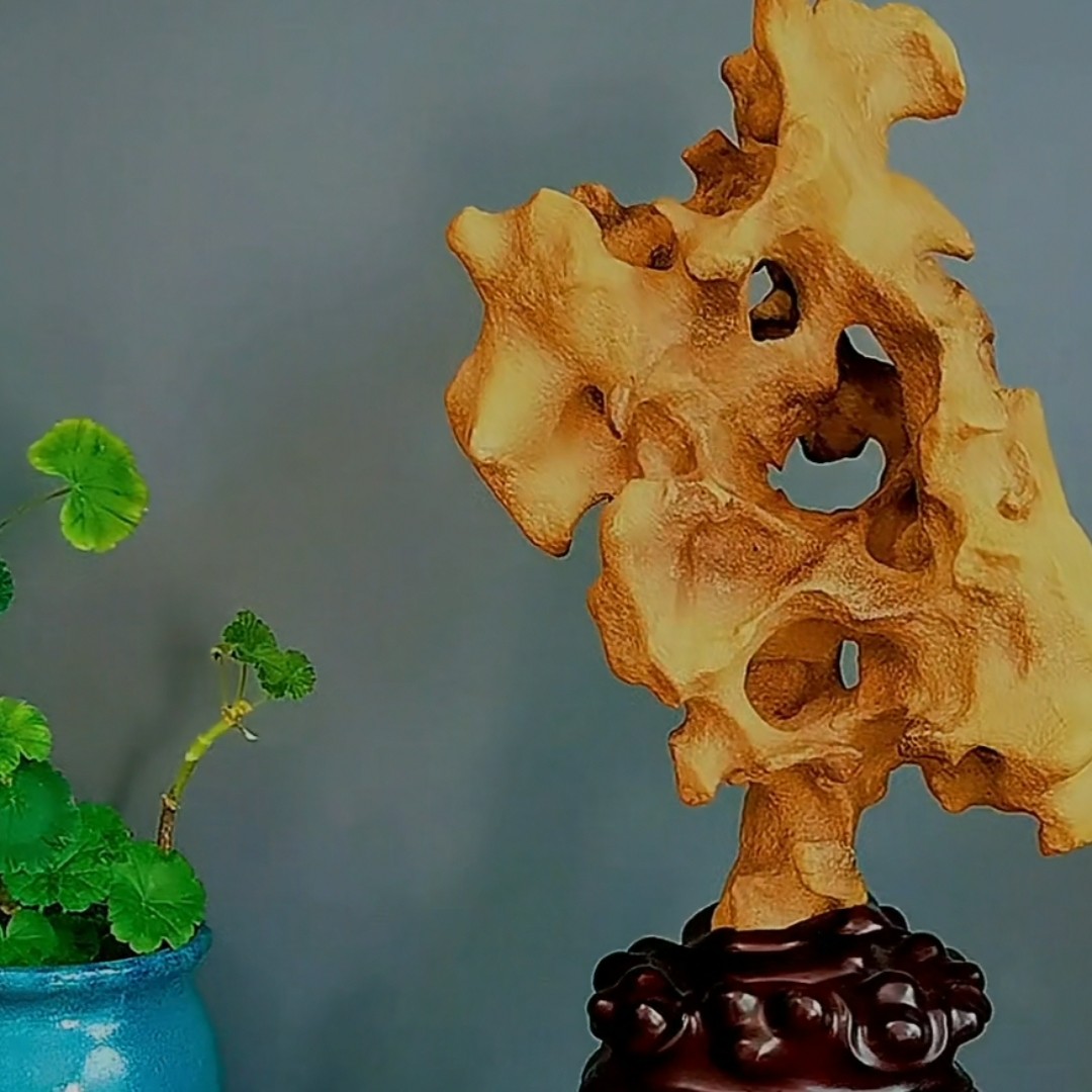 黄太湖石原石 观赏石摆件 古典老皮太湖石