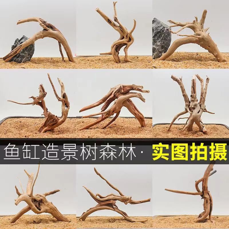 鱼缸造景栖根小杜鹃根沉木造景素材蛇用木头寄居蟹用木头木质天然