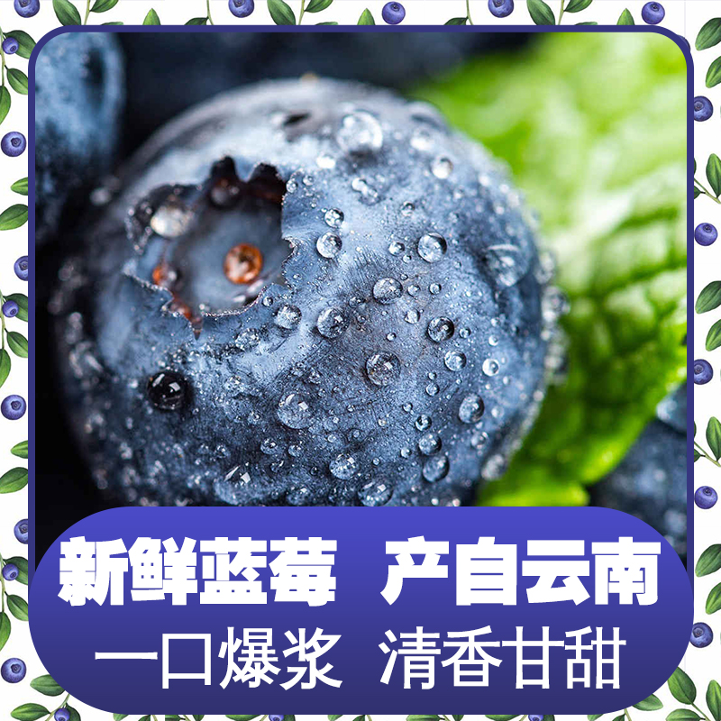 【到手一大盒】新鲜大果蓝莓清香甘甜精选原产地20+大果