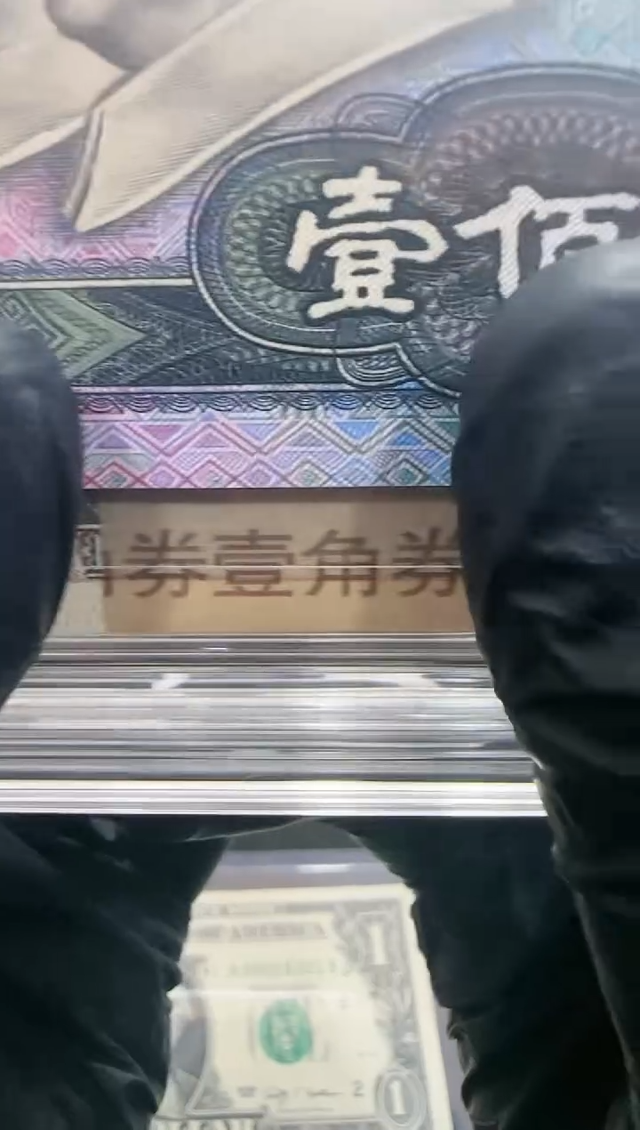 【闪购商品】紫罗兰一刀百连号
