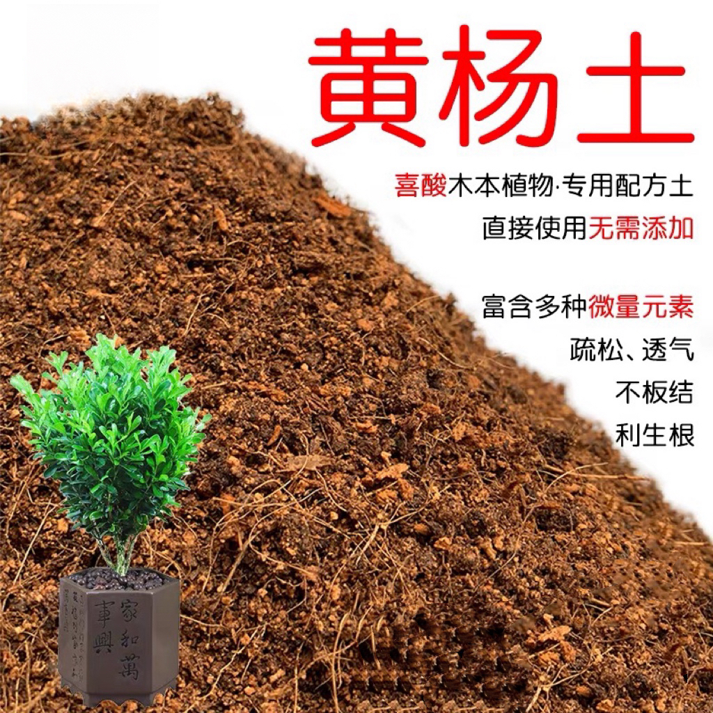 黄杨专用土营养土黄杨土有机酸性土壤盆栽雀舌植物种植土红土花肥