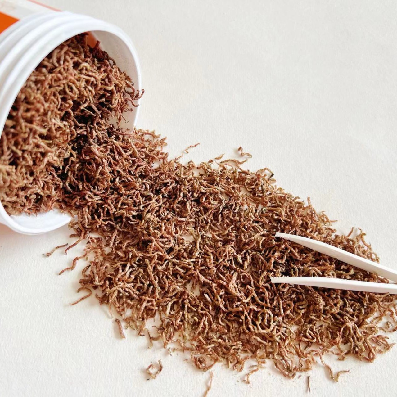 【冻干红虫】冻干小母虫鱼食鱼饲料红线虫观赏鱼鱼粮无水红虫高蛋白