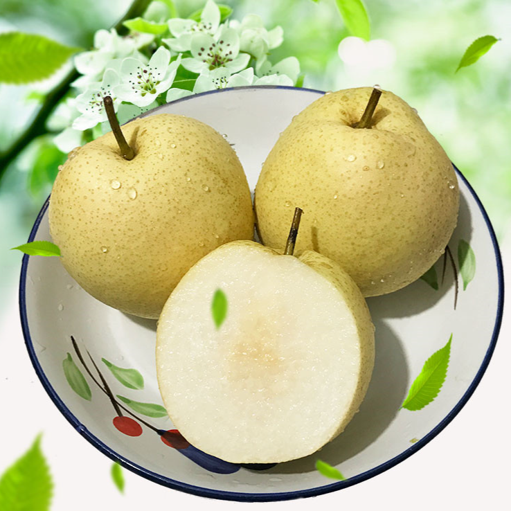 陕西礼泉御梨小河酥梨口感酥脆新鲜爽口皮薄香甜多汁产地直发雪梨