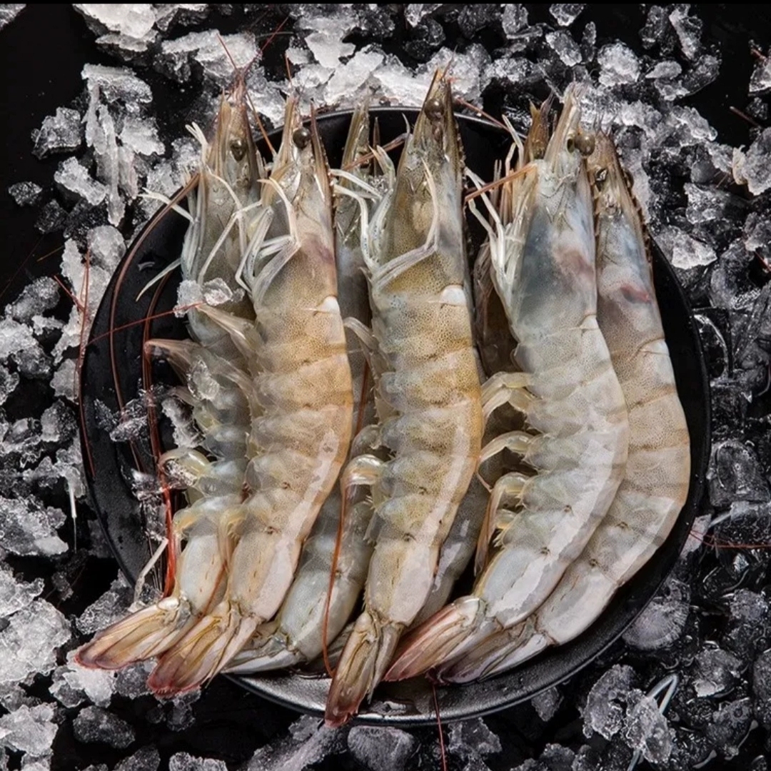 厄瓜多尔大虾3斤3特大号白虾海水大虾盐冻南美白对虾海虾鲜活速冻