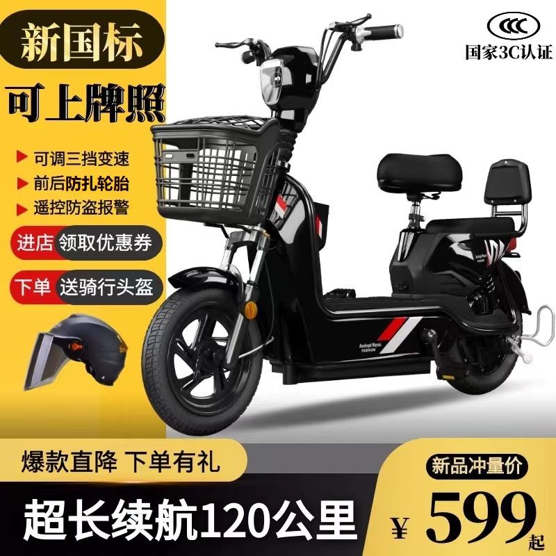 电动车新国标高续航电瓶车48v成人电动自行车两轮简易代步车家用