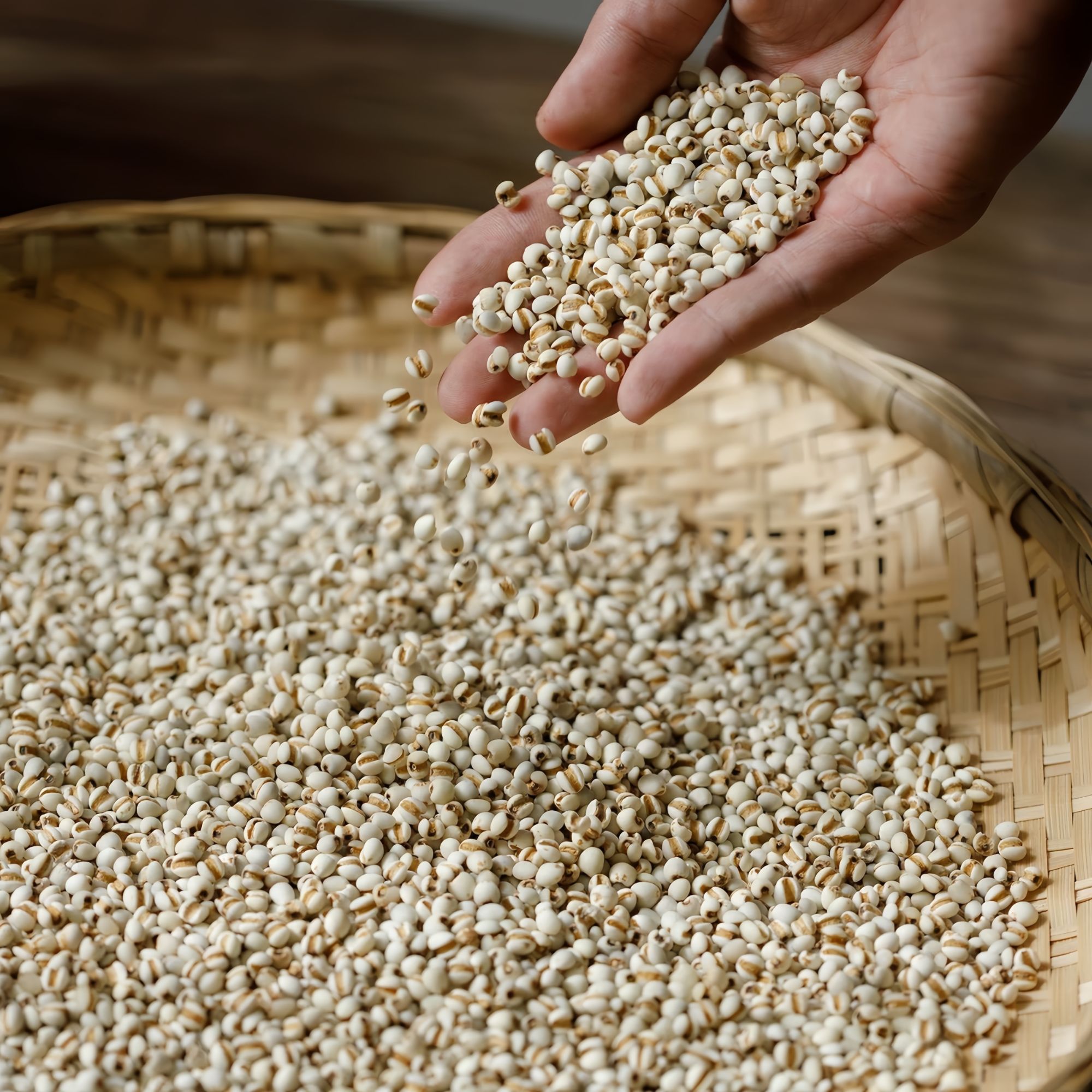 兴仁薏米350g贵州小薏米仁薏米仁薏苡仁米意米仁可搭配芡实干货