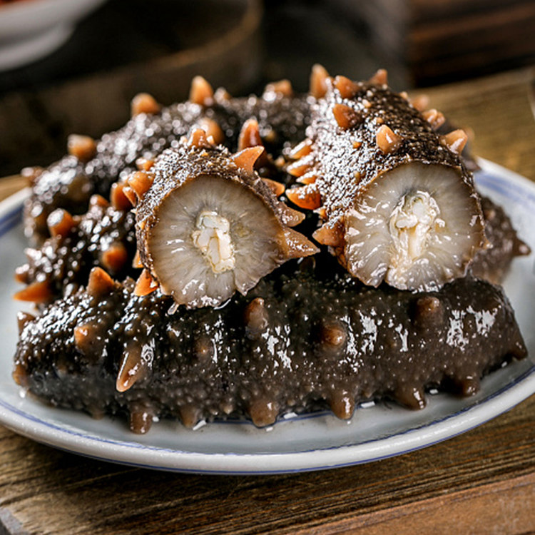 【年货礼盒】鲜食海参4斤装5-8头/500g顺丰正宗大连辽刺参即食海参