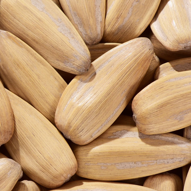 新疆原味网红打手瓜子新货内蒙大颗粒网红打手瓜子1斤