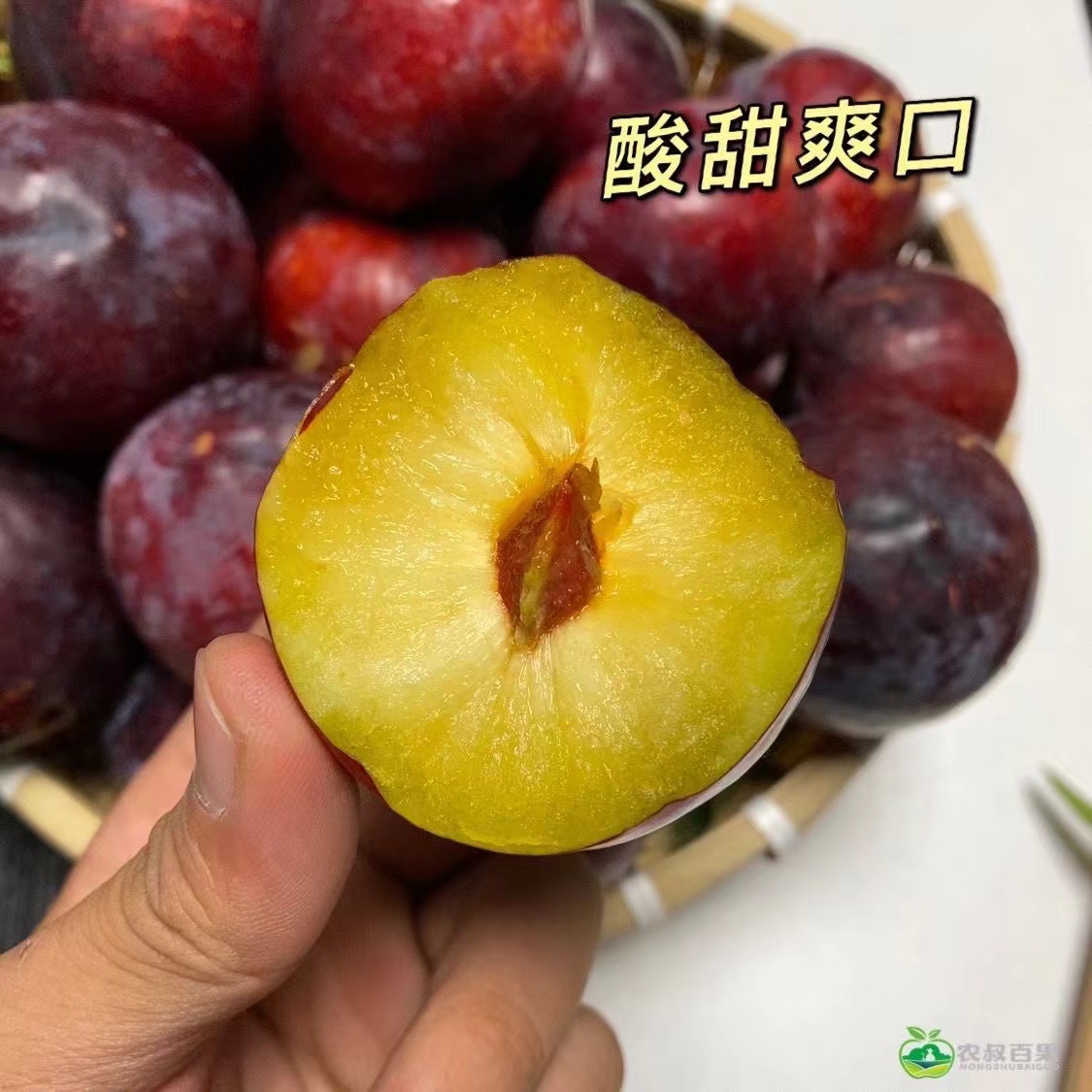 当季水果脱骨李子李子新鲜李子酸甜黑布朗产地直发