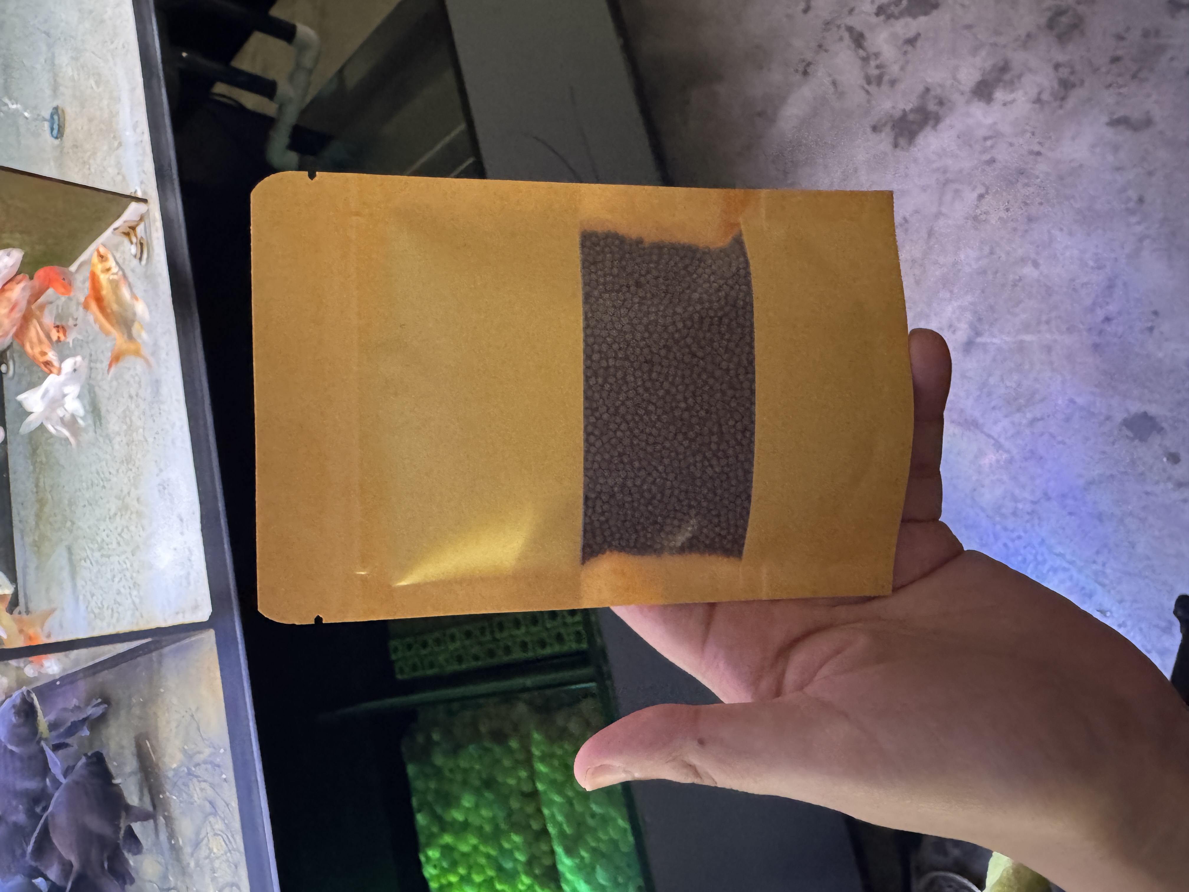 蝴蝶鲤观赏鱼饲料（试用装）