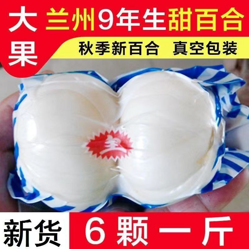 兰州新鲜甜百合特色蔬菜脆嫩香甜大叶百合两头皇一斤六颗甘肃特产