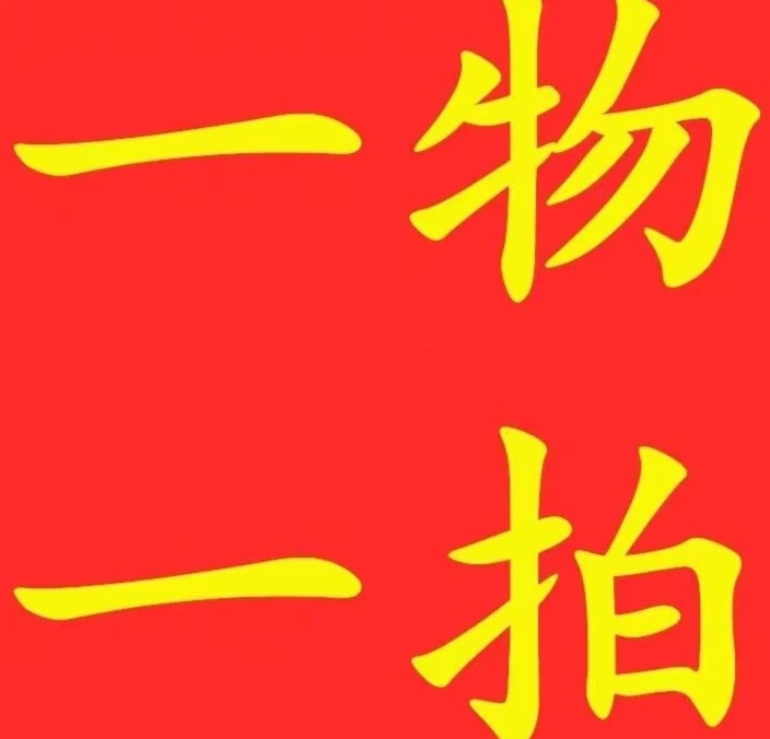 南天竹竹子老桩大型盆栽地栽室内绿植南北方种植养护室内大型绿植