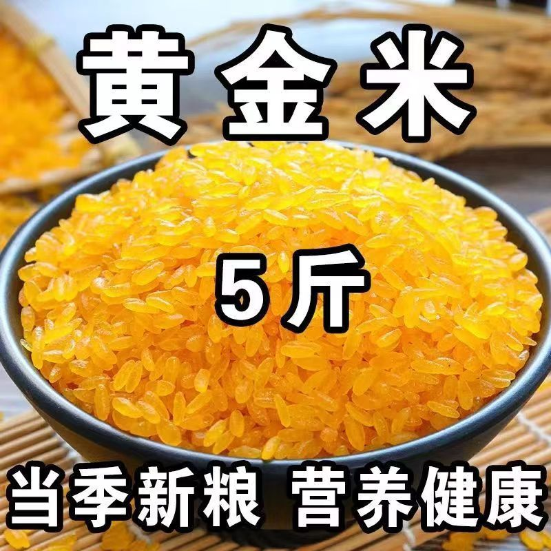 【五斤半价抢！】黄金米东北玉米黄金米粗粮杂粮焖饭煮粥黄金米