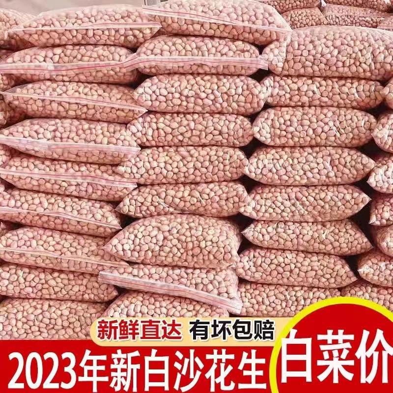 【5斤大降价】现剥新花生米新货粉皮新鲜大粒榨油白沙花生100g