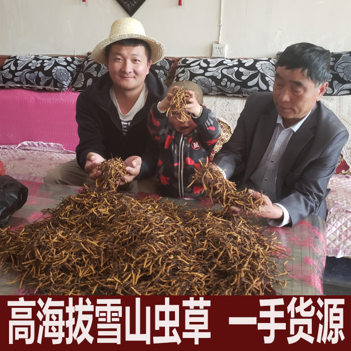 【3根一克】0.33一根克西藏那曲青海玉树冬虫夏草整根礼盒天然虫草