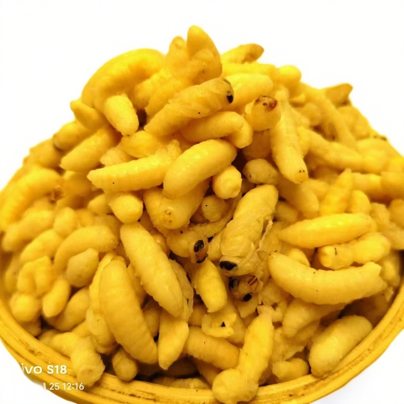 【田王寨】树蜂蛹熟冻——1级2级！