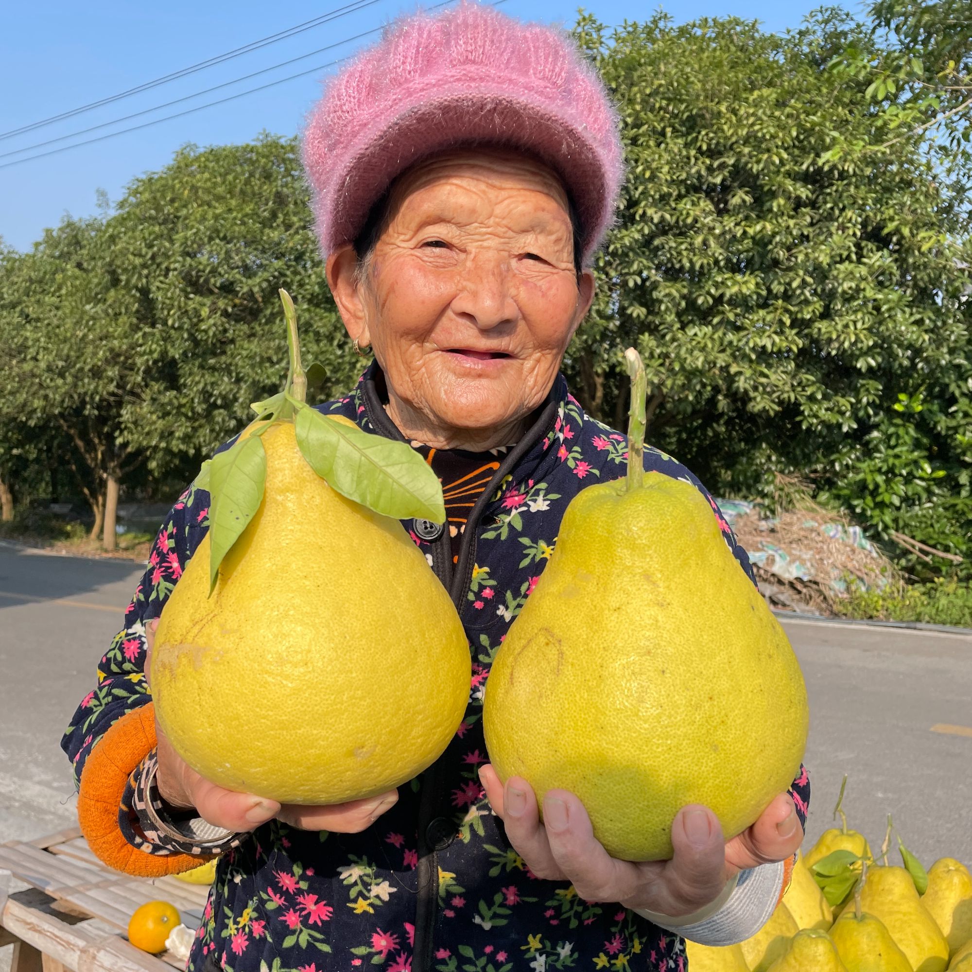 粉丝福利一天单果1.7-2.0斤纯甜长寿沙田柚