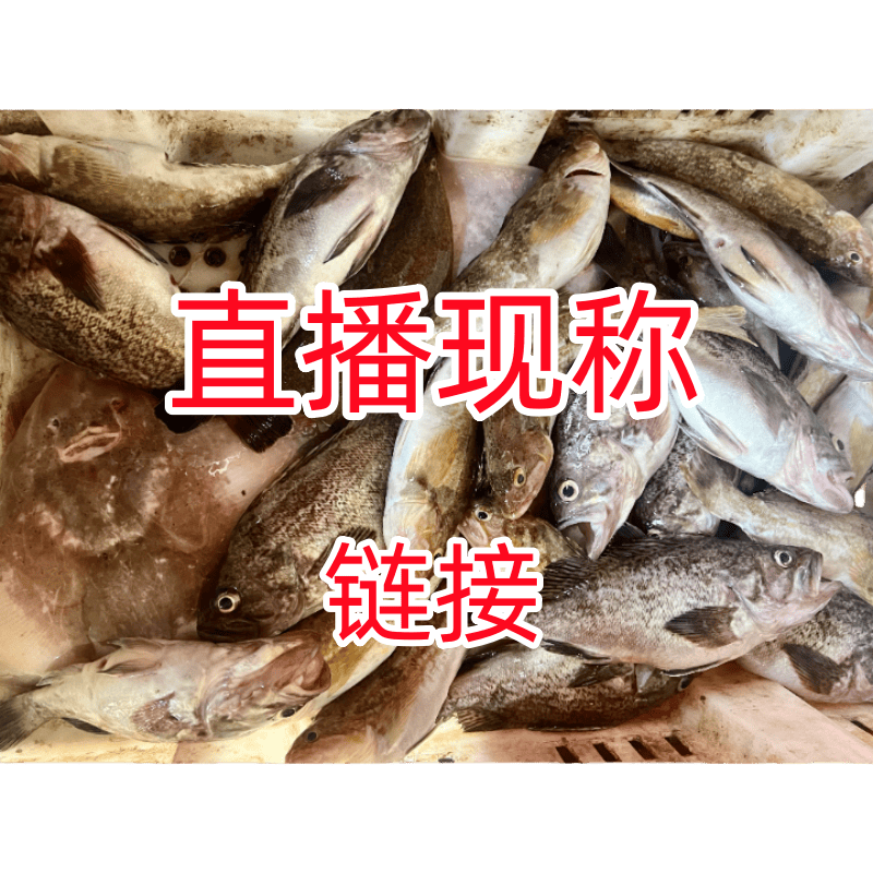 直播各种鱼 虾 蟹 螺类现组 现称 小董现场链接 以实物为准 
