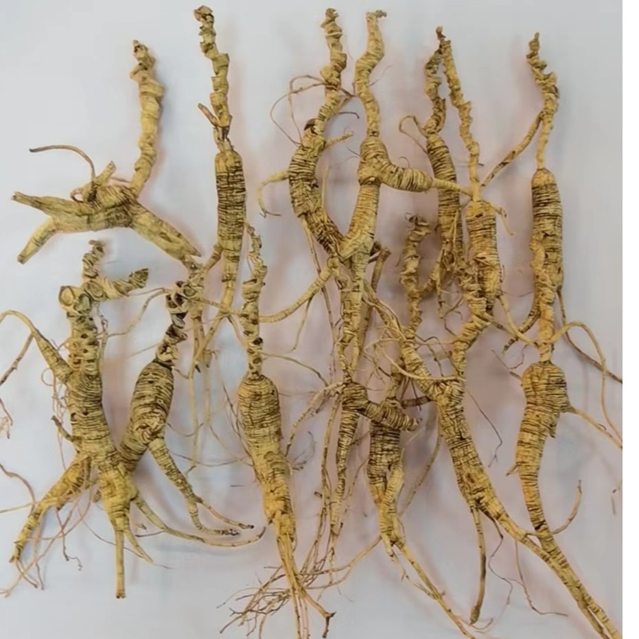 【精品货】人参 林下参干参50g