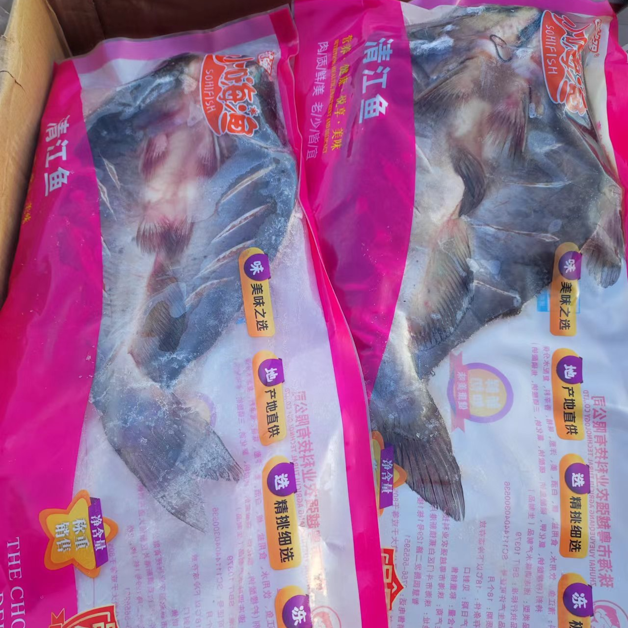 开背清江鱼（鮰鱼）850克/条