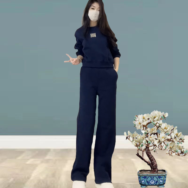 555532洋气时尚气质简约通勤卫衣+阔腿裤2024冬季新款休闲两件套