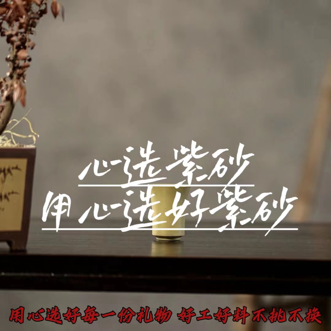 心选紫砂杯（款式随机 原矿好紫砂）