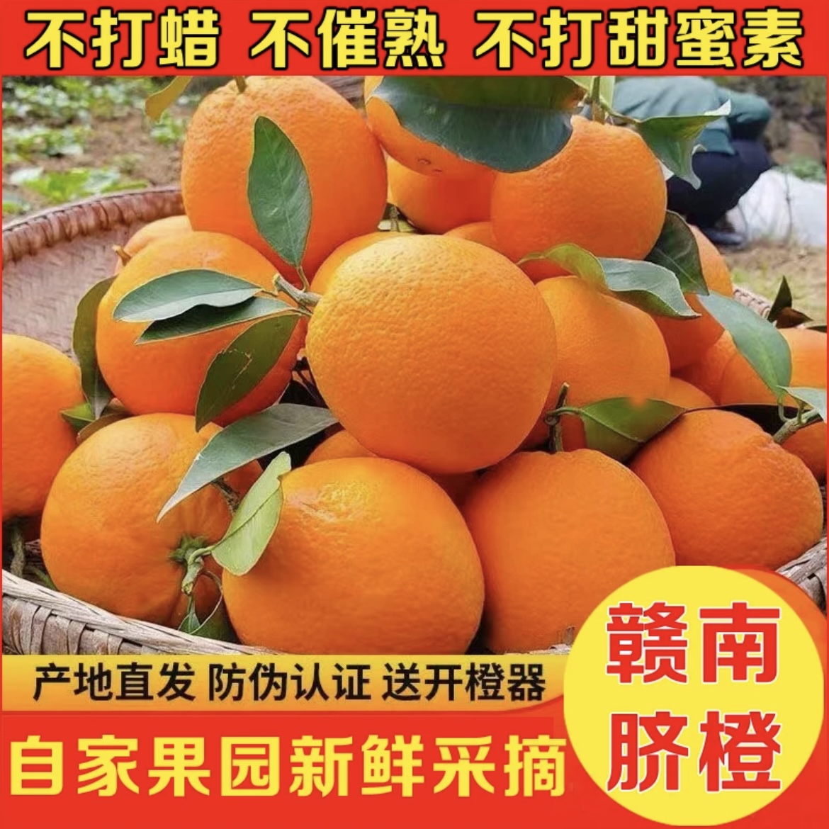 【3斤福利试吃装】正宗江西赣南脐橙新鲜水果爆汁天然橙味香甜