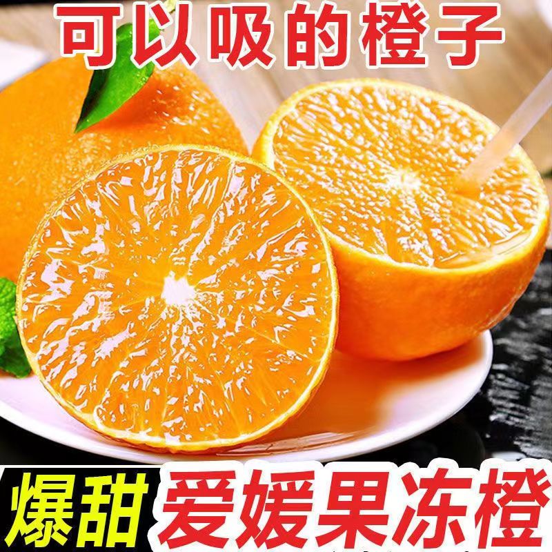 【寒冷地区专属】四川爱媛38号果冻橙手剥橙现摘新鲜多汁4-8斤