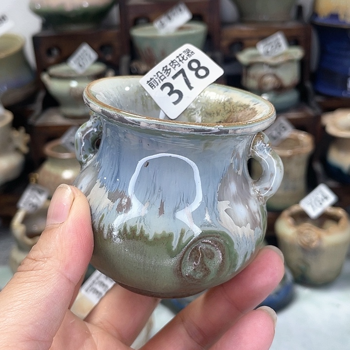 红陶20CM（含）-50CM（不含）口5