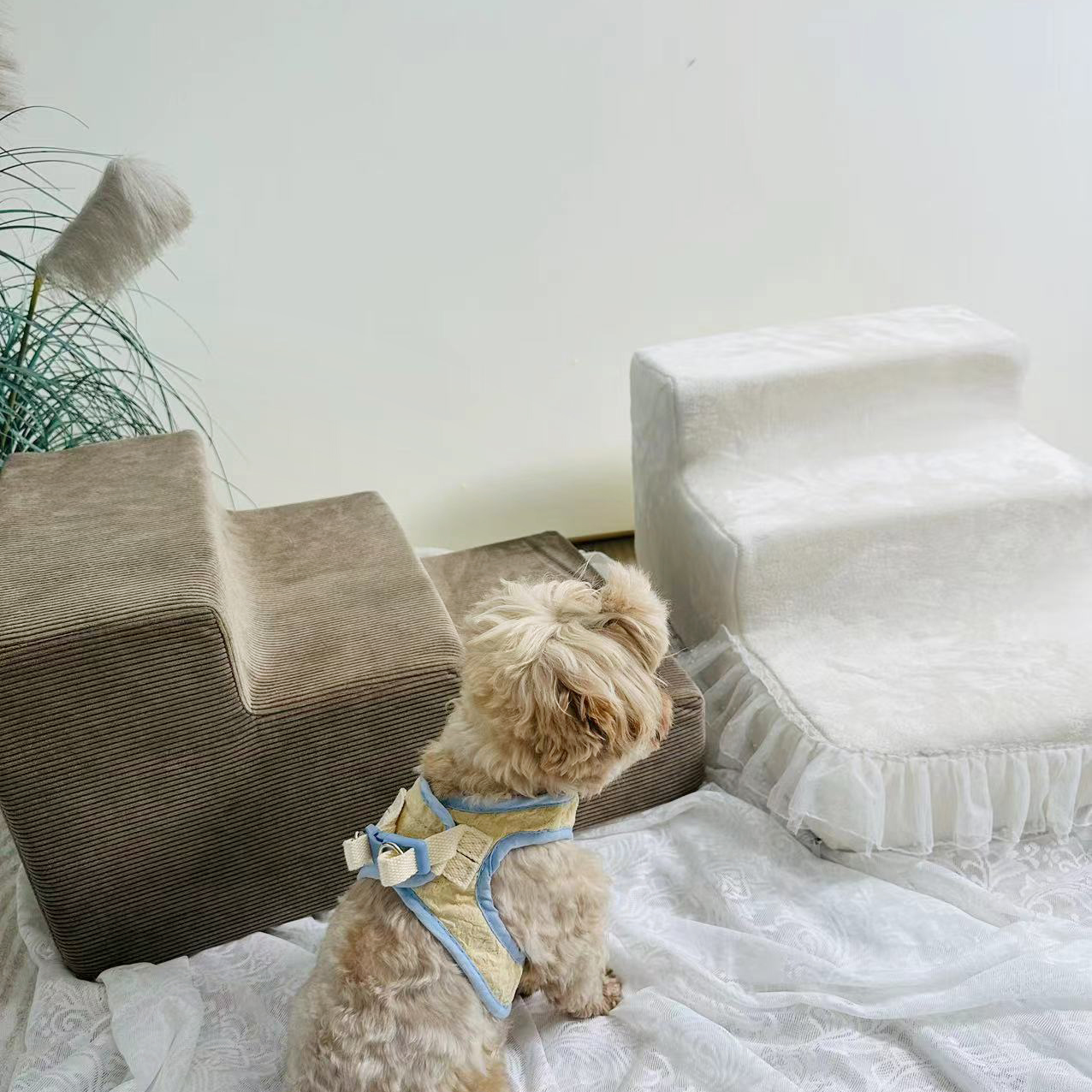 米蔓朵 宠物楼梯防滑爬梯 小型犬楼梯  老年犬爬梯上床沙发台阶