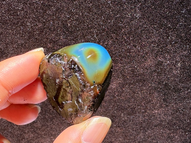 天然缅甸硬琥珀：蓝血变色龙 带天眼 规格：35×31×22mm 重：12克